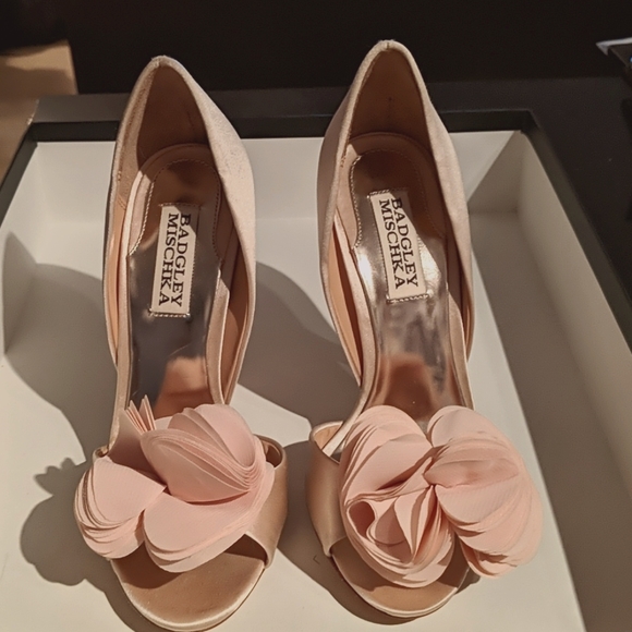 Badgley Mischka Shoes - NWOB Badgley Mischka Satin BlushPink Randall Shoes